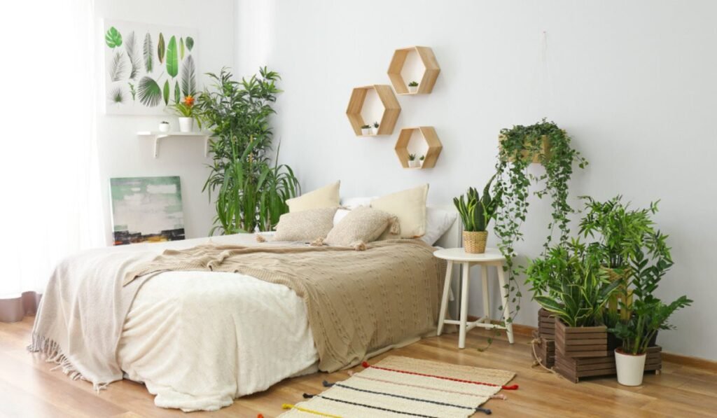 Plants in Bedroom Feng Shui