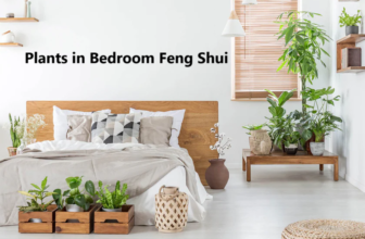 Plants in Bedroom Feng Shui