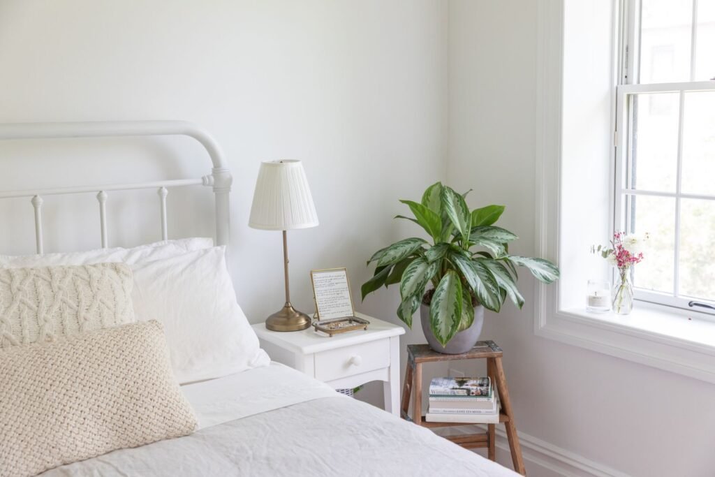 Where to Put Plants in Bedroom Feng Shui