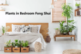 Plants in Bedroom Feng Shui: Best Placement & Tips for Positive Energy and Balance